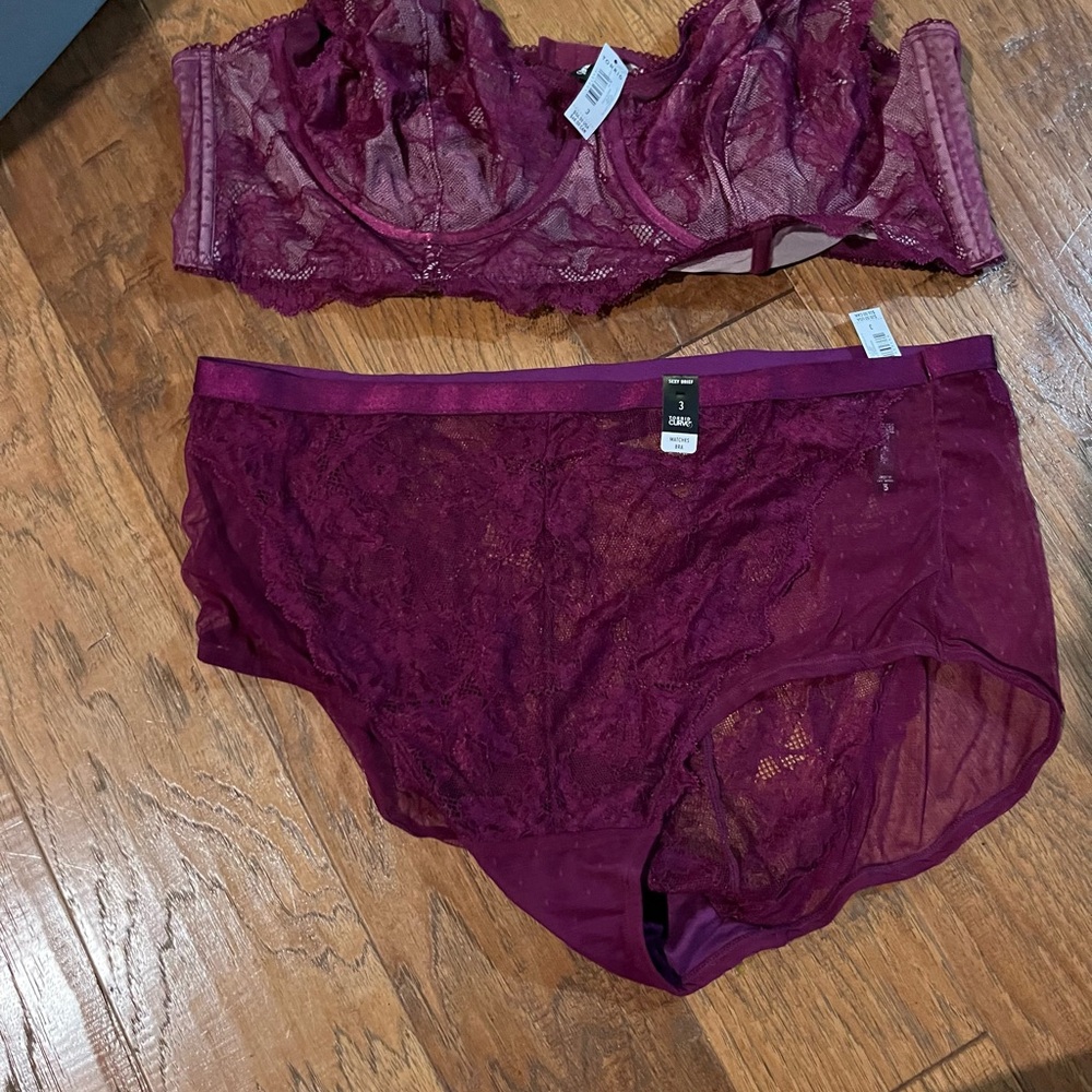 Luxurious Lace Burgundy Bra Set
